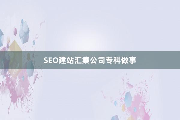 SEO建站汇集公司专科做事