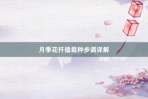 月季花扦插栽种步调详解
