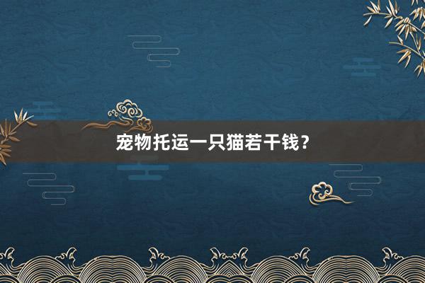 宠物托运一只猫若干钱？